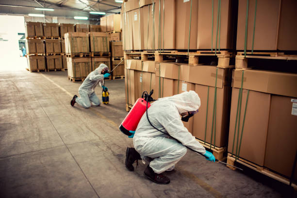Best Mosquito Control Services  in Cypress Quarters, FL