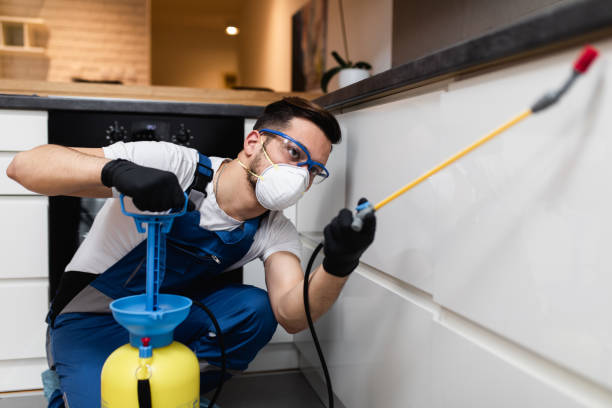 Best Termite Control Services  in Cypress Quarters, FL