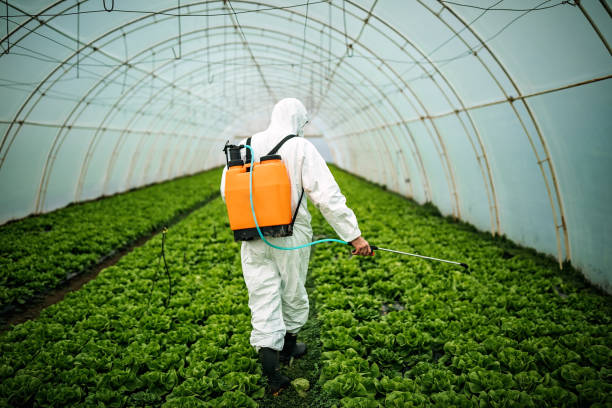 Best Commercial Pest Control Services  in Cypress Quarters, FL