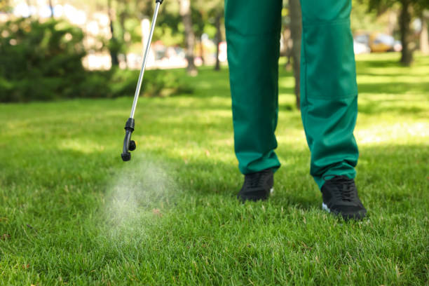Pest Prevention Services in Cypress Quarters, FL
