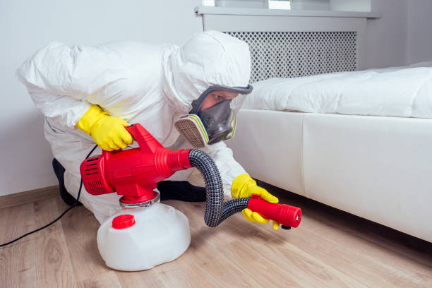Best Flea Control Services  in Cypress Quarters, FL