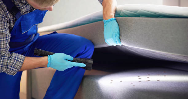 Best Pest Inspection Near Me  in Cypress Quarters, FL